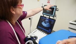 Vet looking at ultrasound machine