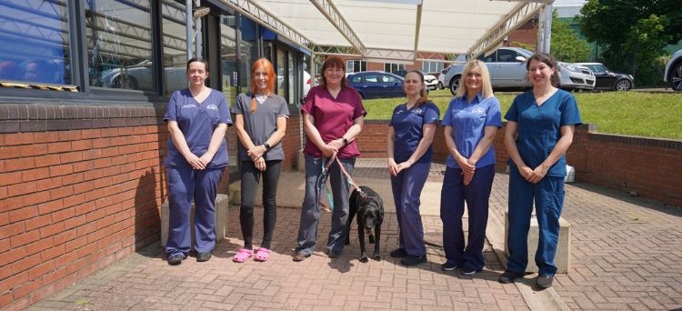 Careers at Daventry Vets