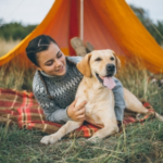 New Year Bucket List Adventures for Dogs in Northamptonshire