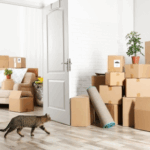 Moving House with Pets? Top Tips from Daventry Vets