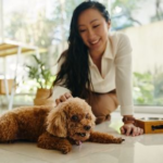 Stepping Into Spring: Refreshing Your Pet’s Daily Routine