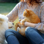 Summer Pet Care Q&A: Your Questions Answered by Our Vet